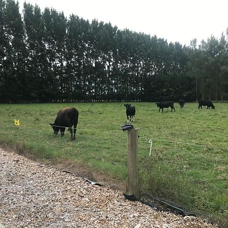Brookside Country Escape 40 Minutes To Chc Airport Hotell Leeston Eksteriør bilde