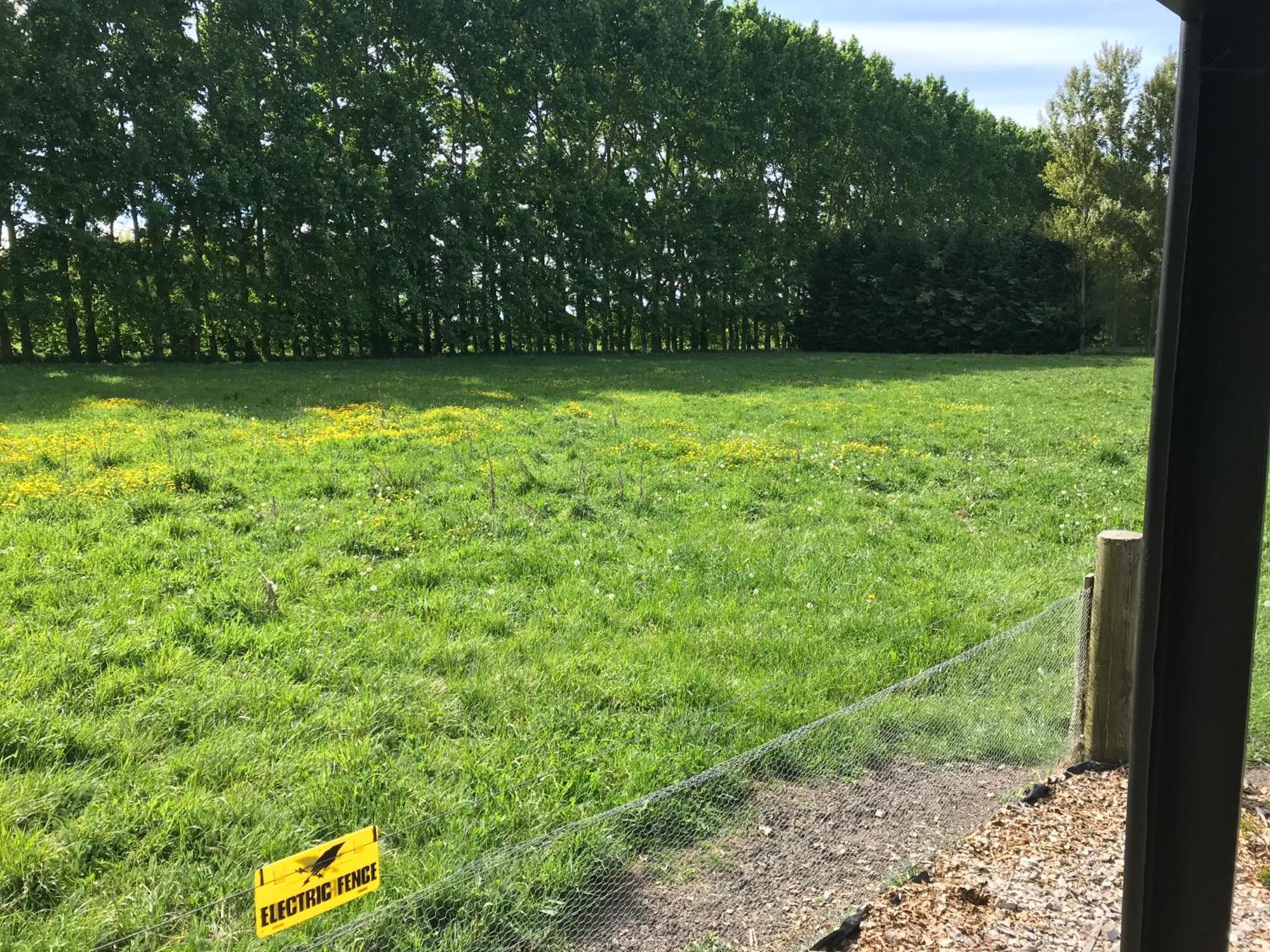 Brookside Country Escape 40 Minutes To Chc Airport Hotell Leeston Eksteriør bilde