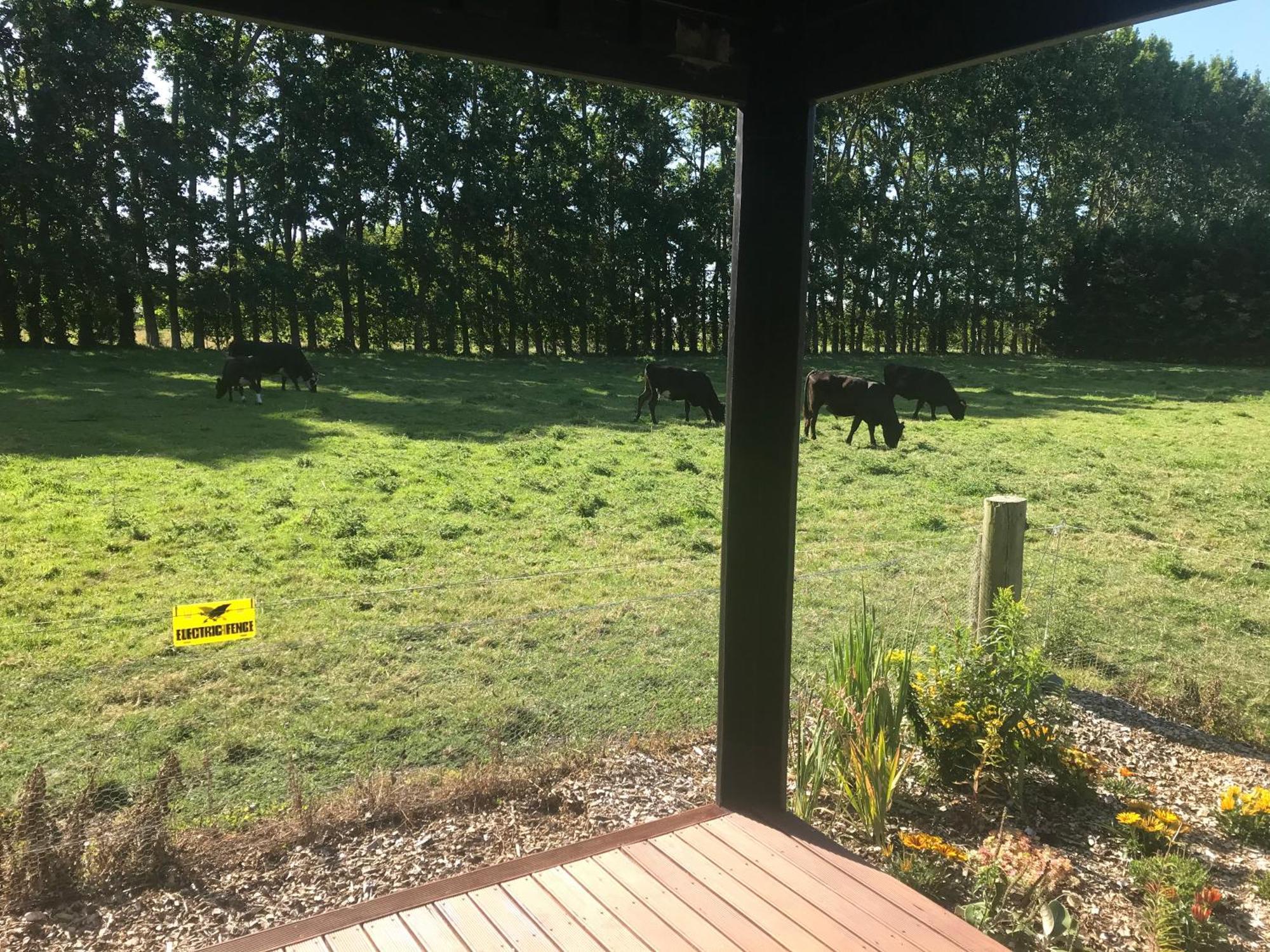 Brookside Country Escape 40 Minutes To Chc Airport Hotell Leeston Eksteriør bilde
