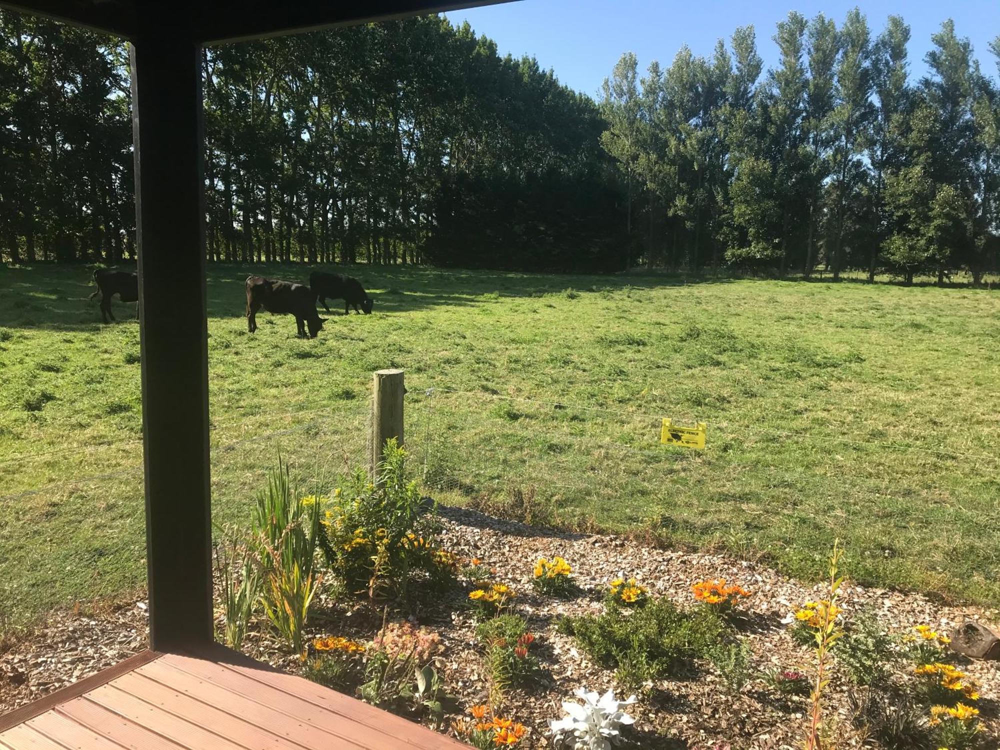 Brookside Country Escape 40 Minutes To Chc Airport Hotell Leeston Eksteriør bilde
